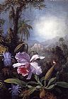 Orchids, Passion Flowers and Hummingbird by Martin Johnson Heade